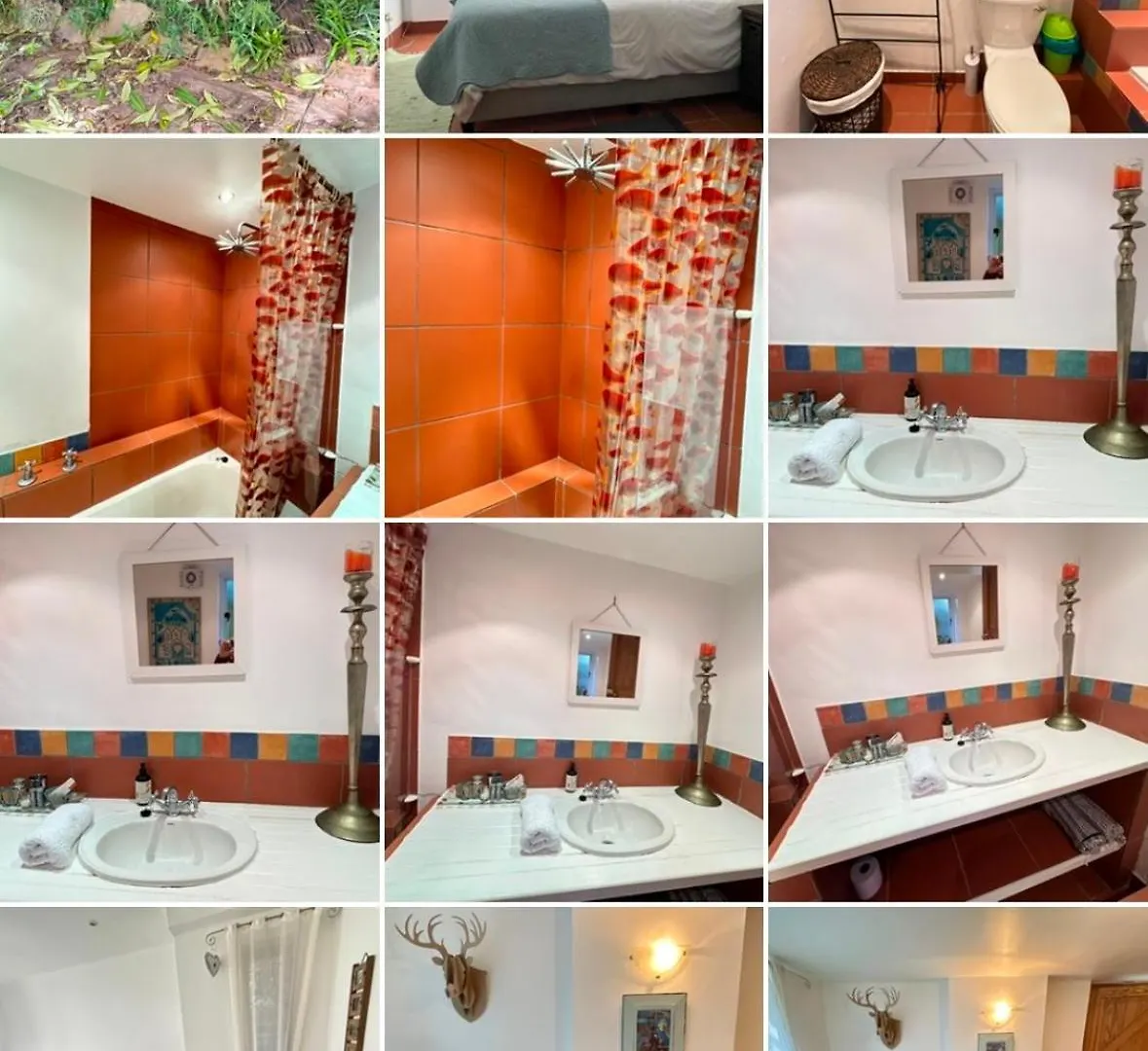 Olive Tree Garden Apartment 1 ケープタウン 南アフリカ