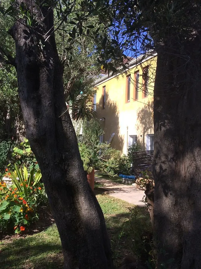 Olive Tree Garden Apartment 1 ケープタウン