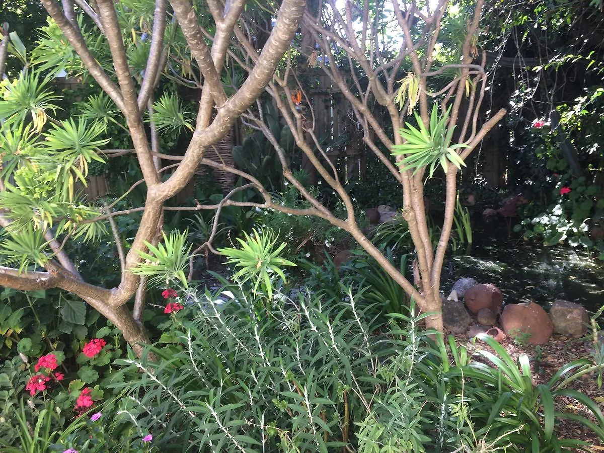 Olive Tree Garden Apartment 1 ケープタウン 南アフリカ